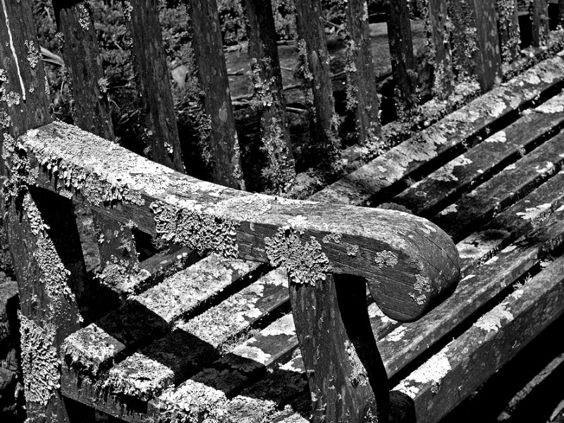 Lichens rest