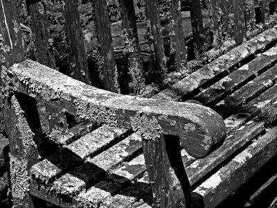 Lichen's rest