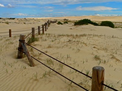 Fences in the sand dunes - colour