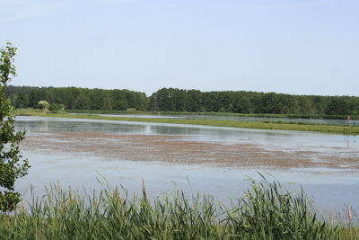 g1/24/1048224/3/146620724.OxuEEhuy.jpg