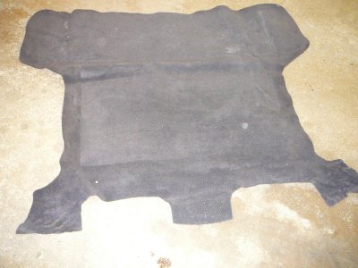 Daytona Cargo area Carpet - Nice