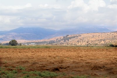 View from the Hula Valley looking toward the Golan Heights. Mt. Hermon is in the background.