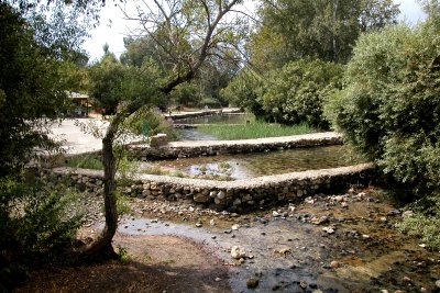 The Banias Spring - one of the principal sources of water for the Jordan River.