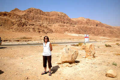 Judy - we stopped to admire the beautiful cliff formations while traveling south to Masada in the Judean Desert.