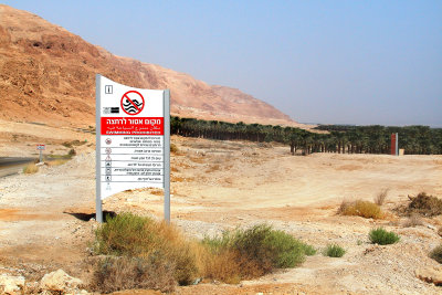 Sign in Hebrew, English and Arabic - swimming prohibited  in the Dead Sea there. A grove is in this desert area - an oasis.
