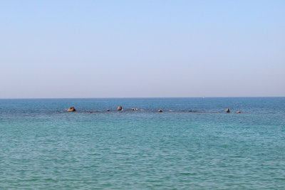 Andromedas Rock off the coast of Jaffa: Greek mythology - where Andromeda was sacrificed to a sea monster to appease Poseidon.