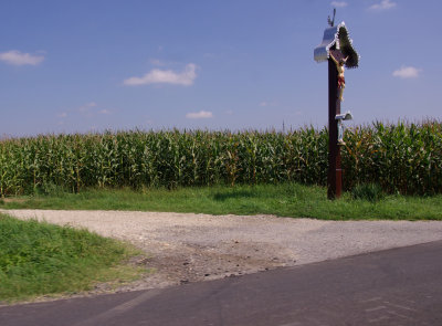 IMGP9230m.jpg