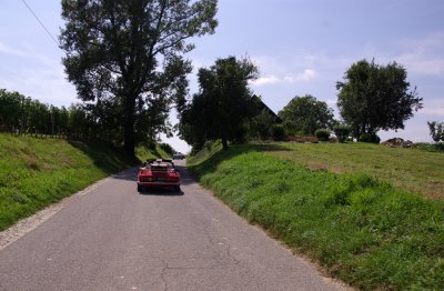 IMGP9231m.jpg