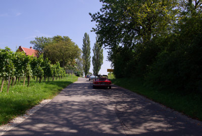 IMGP9234m.jpg