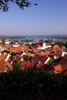 Ptuj1.jpg