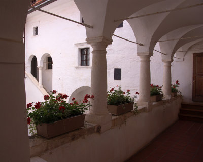 IMGP9302m.jpg