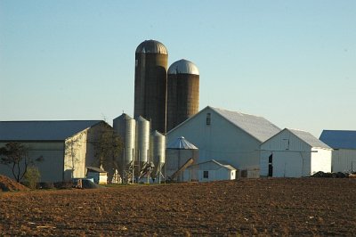 cluster of farm buildings