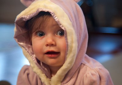 Purple bunny hood