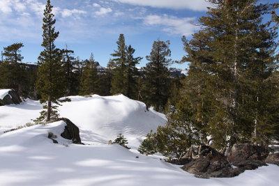 A-IMG0002.jpg