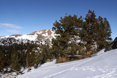 A-IMG0003.jpg