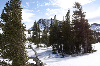 A-IMG0005.jpg