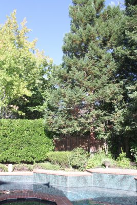 Home in Folsom CA: It is OURS!!!
