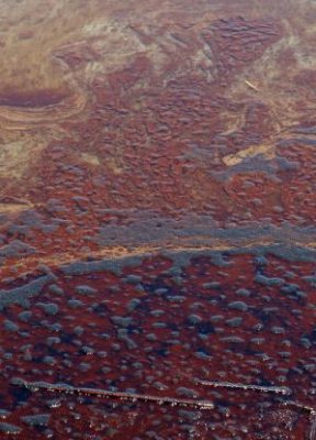 Oil on Grand Isle 3.jpg