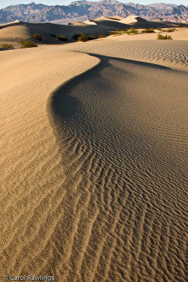 Mesquite Dunes at Stove Pipe Wells