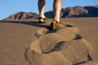 Mesquite Dunes at Stove Pipe Wells