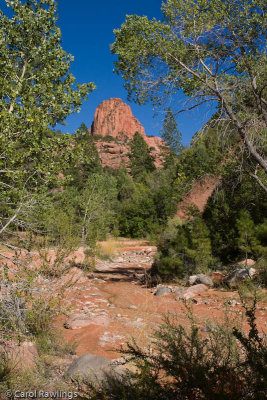 Taylor Creek Trail in Kolob Canyon - West side of Zion National Park