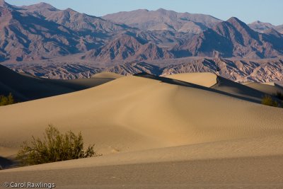 Mesquite Dunes at Stove Pipe Wells