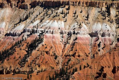 Cedar Breaks National Monument, Utah