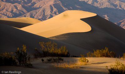 Mesquite Dunes at Stove Pipe Wells