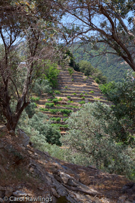 Terraced slopes, Manolatis