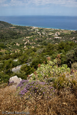 Hillside view near Vourliotes