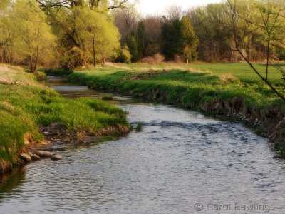 One of the many streams that flow into the Conestogo River