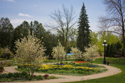 Waterloo Park