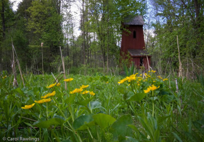 Sheave at Blair Mills