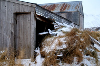 Skógar 2008