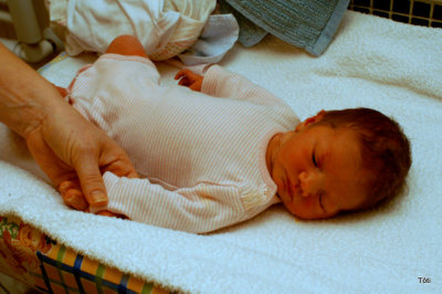 g1/24/324/3/117911136.oRT3nVRd.jpg