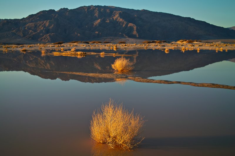 Morning light at the bog