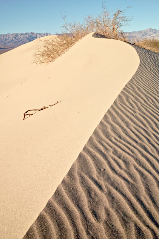 Loose twig