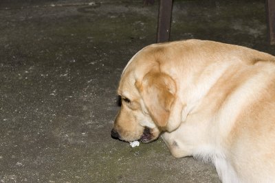 _MG_5674.jpg