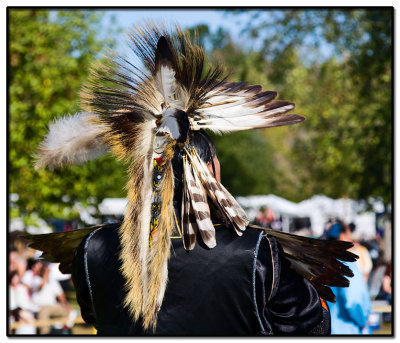 Tennessee State Pow Wow 2008