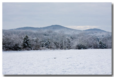 Snowy Nashville Morning