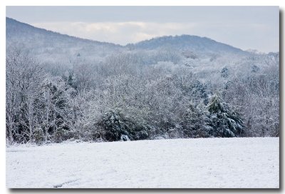 Snowy Nashville Morning