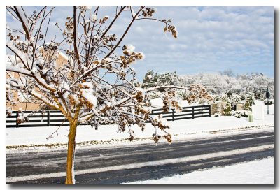 Snowy Nashville Morning