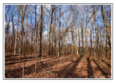 Henry Horton State Park