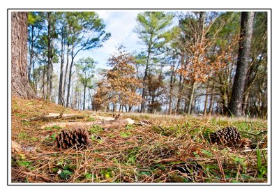 Henry Horton State Park