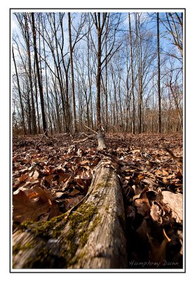 Henry Horton State Park