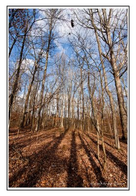 Henry Horton State Park