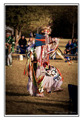 Tennessee State Pow Wow 2008