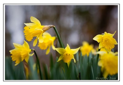 Signs of Spring at Long Hunter State Park