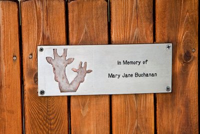 plaque