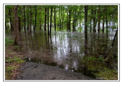 Floods at Long Hunter State Park